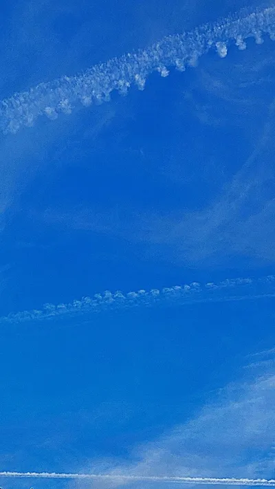 Bearing Responsibility