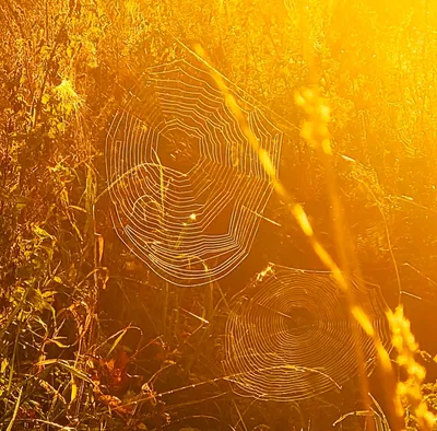 Context Intelligence