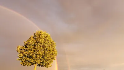 Proven Under Pressure