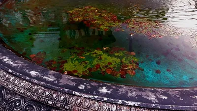 Seeing with Intention