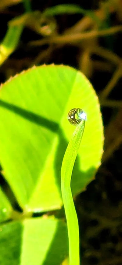 Strategic Sensitivity