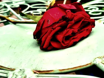 When Judgment Ripens